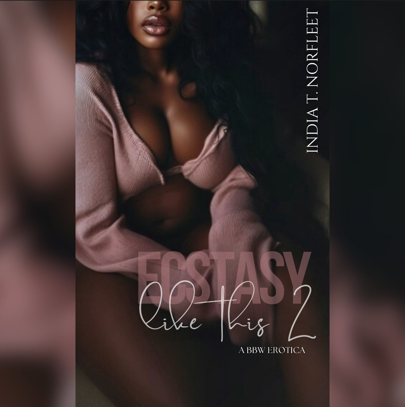 Ecstasy Like This (Book 2) (AVAILABLE FOR PREORDER ONLY AT THIS TIME)